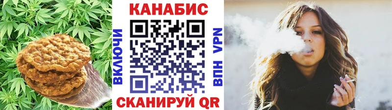 Cannafood конопля  Купить закладки  Новозыбков 