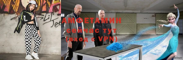 дживик Иннополис